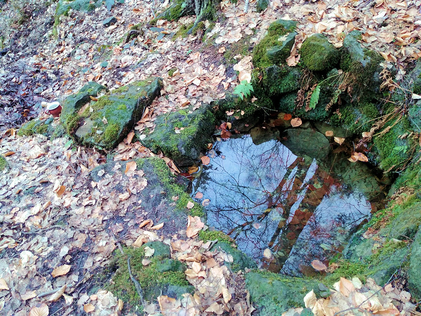 studánka Pod Čertovkou (4801) - únor 2019