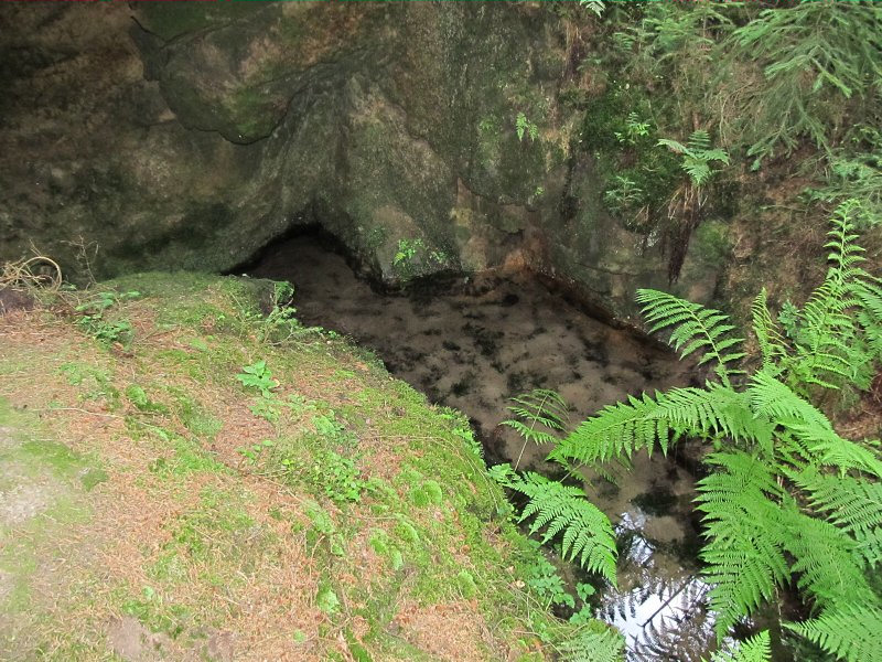 pramen Pod skálou (4804) - červenec 2011