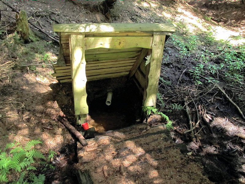 studánka bez jména (4806) - červenec 2011
