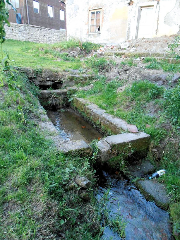 vyvěračka Máchadlo (4808) - červenec 2011