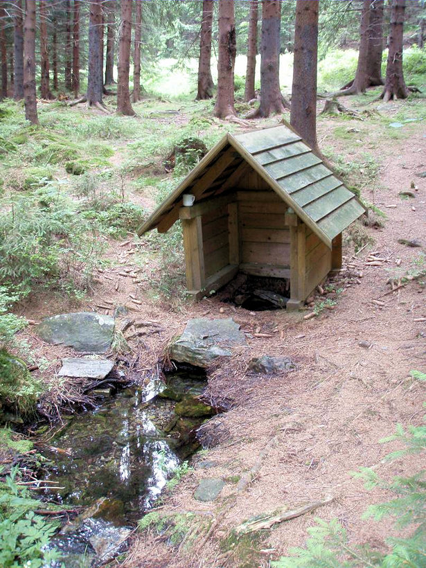 studánka Pětadvacítkový pramen (4809) - červenec 2011
