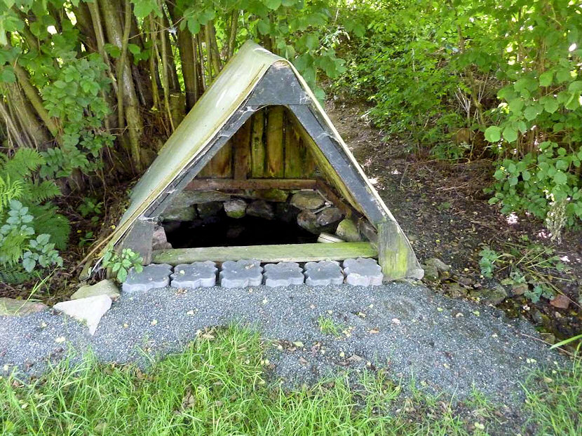 studánka bez jména (4826) - červenec 2011
