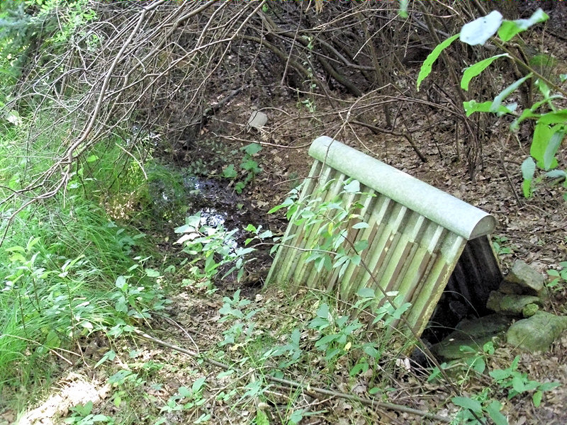 studánka bez jména (4827) - červenec 2011