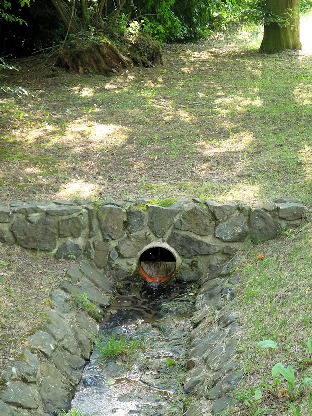 jiný vodní zdroj Pod ovocným sadem (4855) - červenec 2011