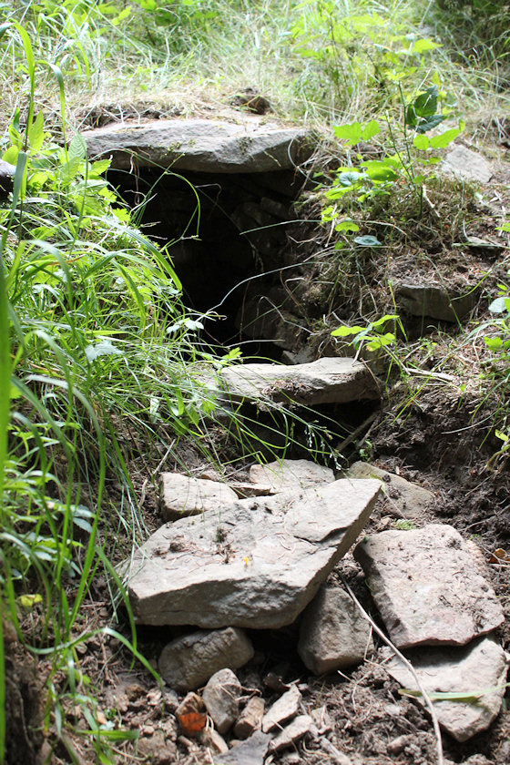 studánka V Žákovci (4857) - červenec 2011