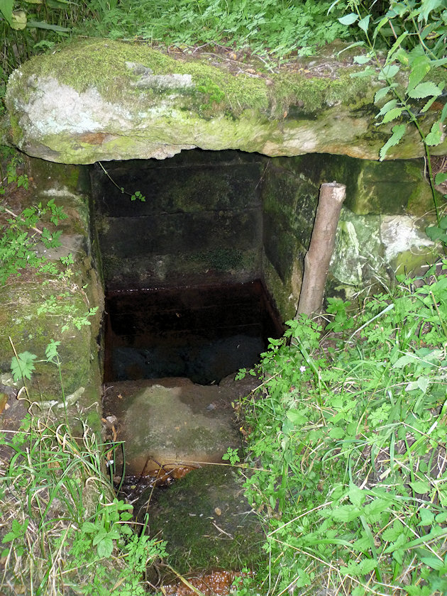 studánka Kojetínská kyselka (4863) - červenec 2011