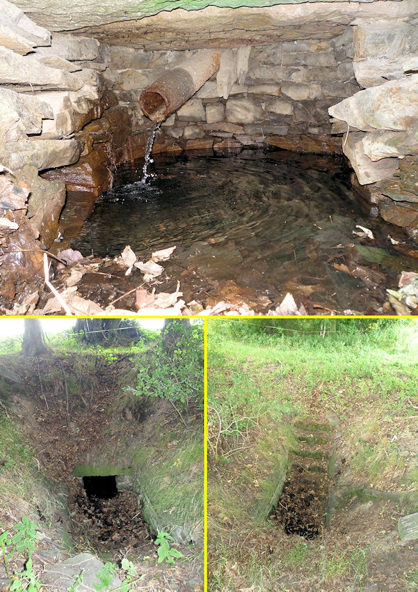 studánka Na půli cesty (4868) - červenec 2011