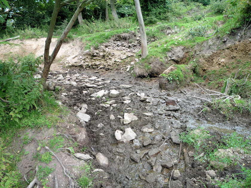 pramen Pod Dominou (4869) - červenec 2011