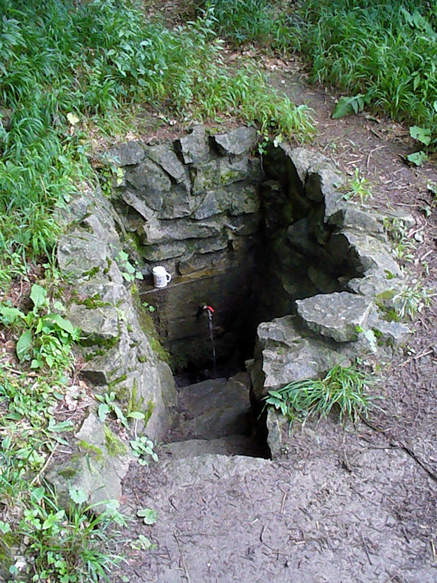 studánka U Hlavinků (4879) - srpen 2011