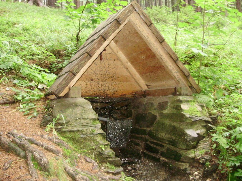 studánka bez jména (4883) - srpen 2011