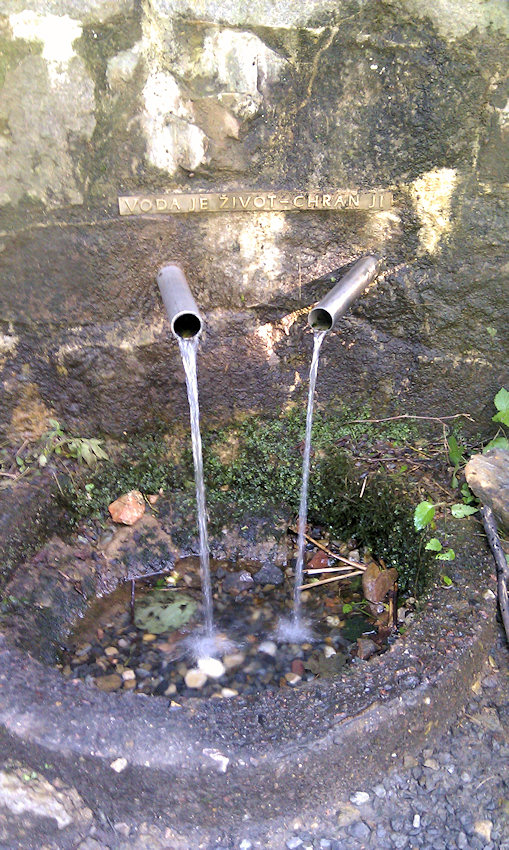 studánka Pastviny I (4894) - srpen 2011