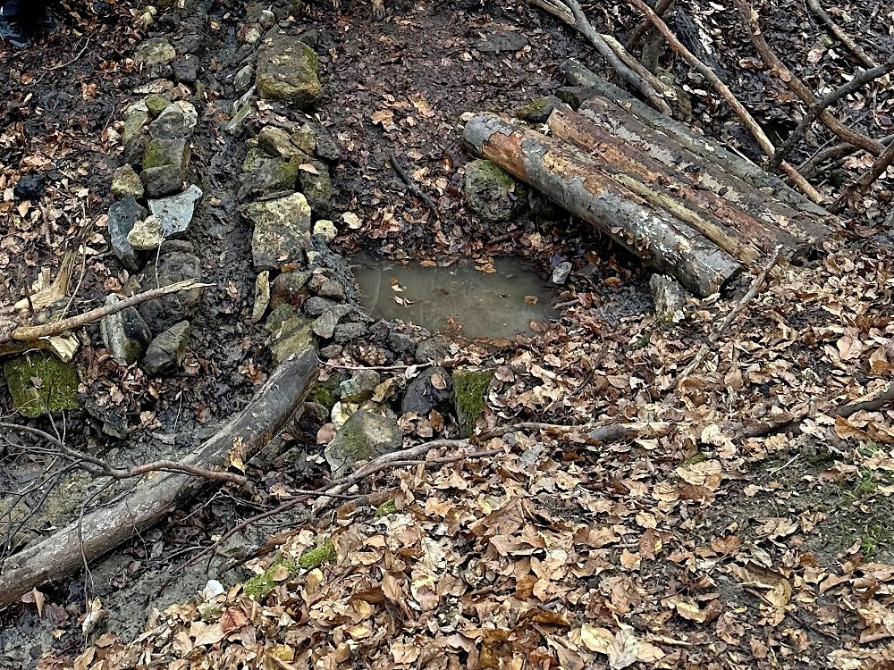 studánka U Šubice (4897) - březen 2026