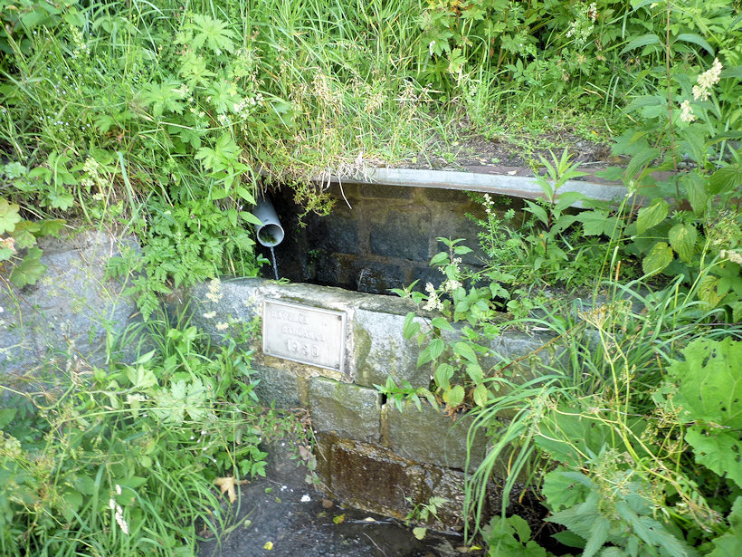 studánka Bartova (4913) - srpen 2011
