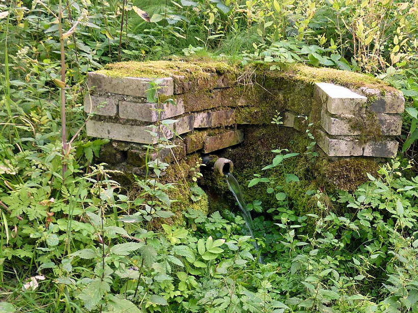studánka bez jména (4921) - srpen 2011