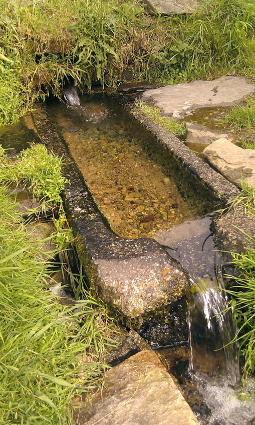 studánka bez jména (4935) - červen 2019