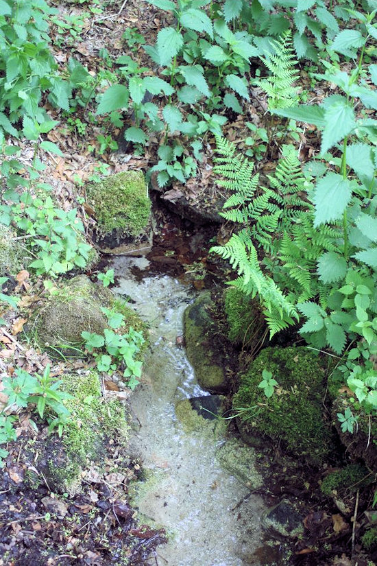 studánka Písečná (4938) - srpen 2011