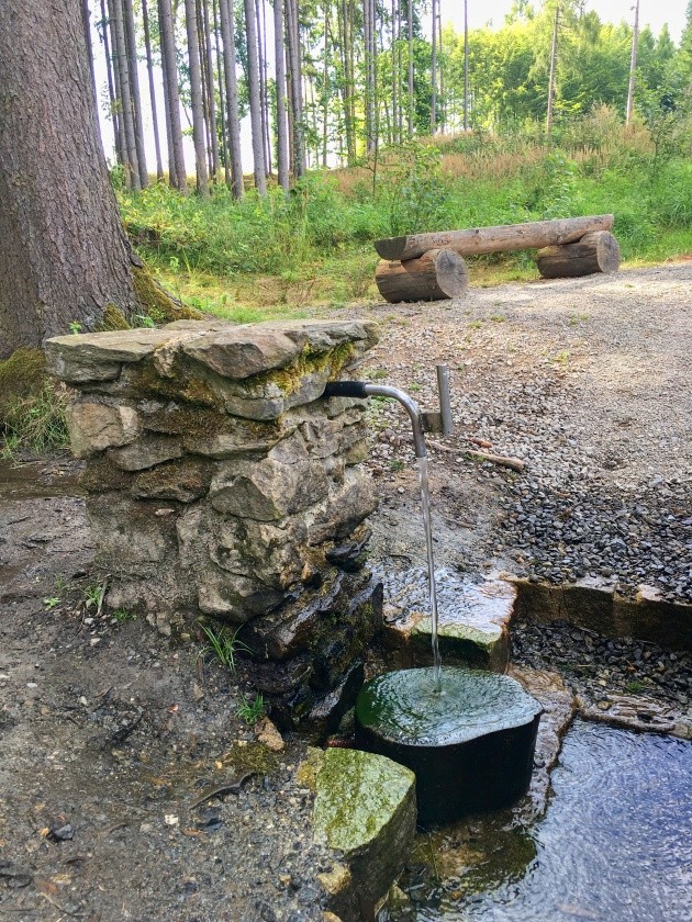 studánka Na Zádolí (4946) - srpen 2023