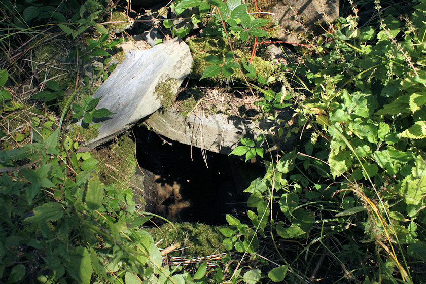studánka Ostružinová (4957) - srpen 2011