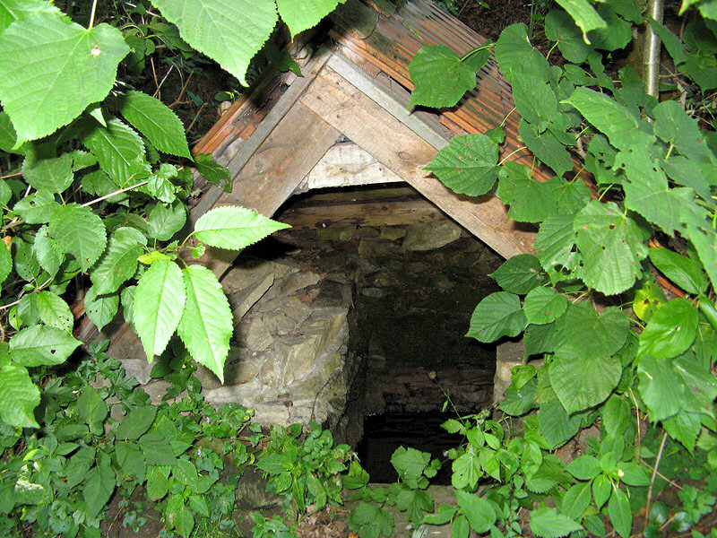 studánka Ve Stráni (4960) - srpen 2011