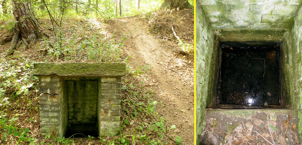 studánka U střelnice (4973) - září 2011