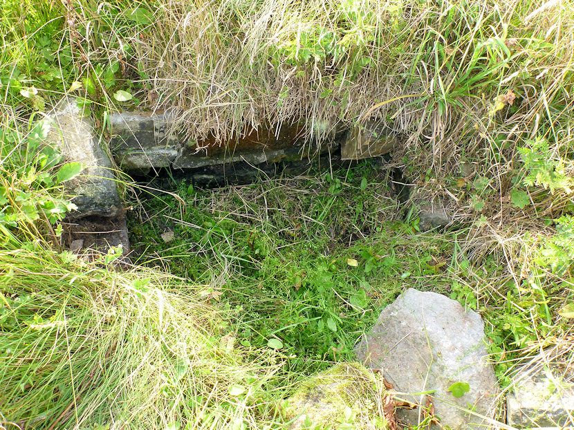 pramen U stavědla (4979) - září 2011