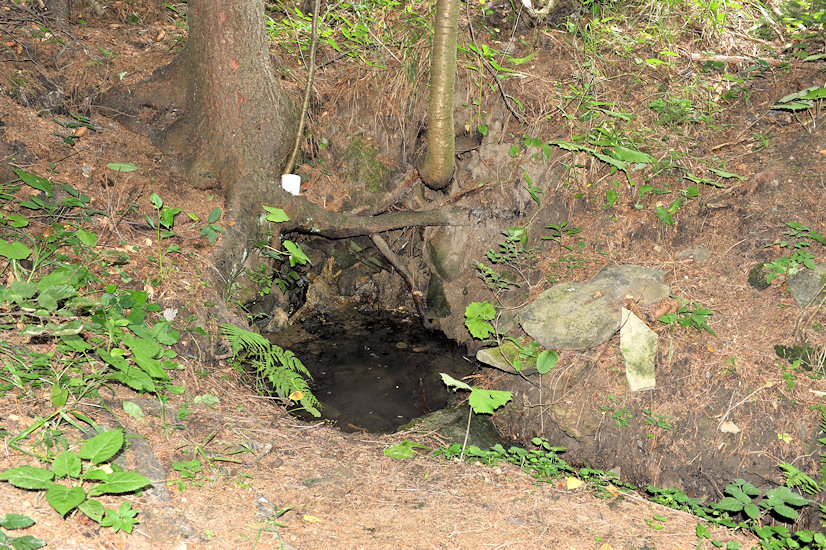 pramen Pod Královcem (4989) - září 2011