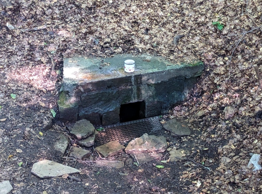 studánka Janáčkova kyselka (4991) - srpen 2023