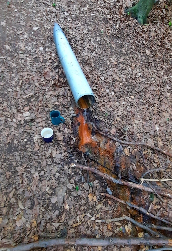 studánka Dolní pramen Březovské kyselky (4992) - květen 2025