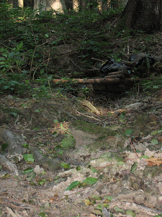Studánka za Jančičkou  (4995) - září 2011
