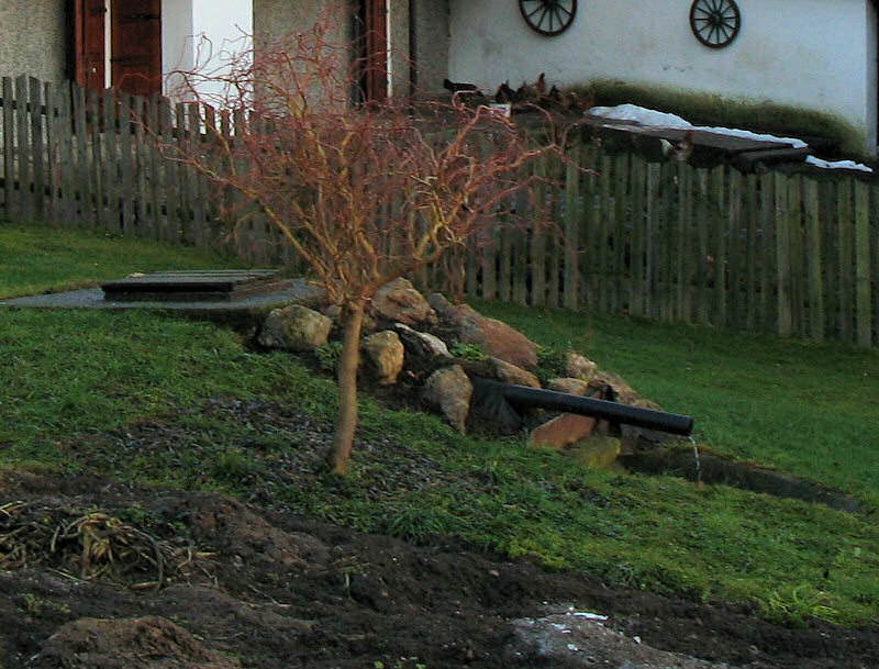 studánka U Jajtnerů (5001) - září 2011