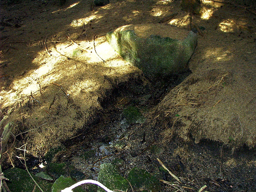 prameniště bez jména (5007) - září 2011
