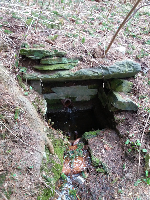 Menhartická studánka (5009) - duben 2022