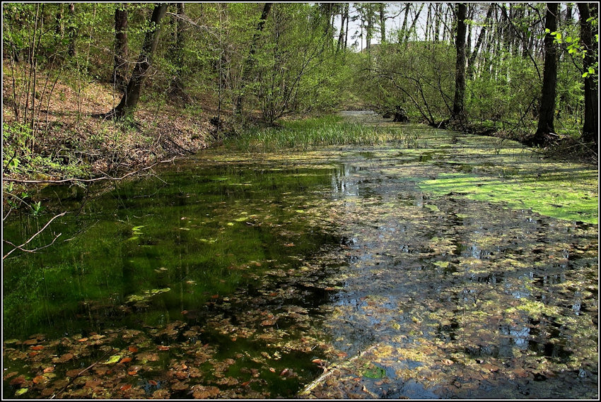prameniště U zámku (5024) - září 2011