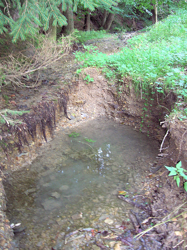 pramen U Sudu (5045) - září 2011