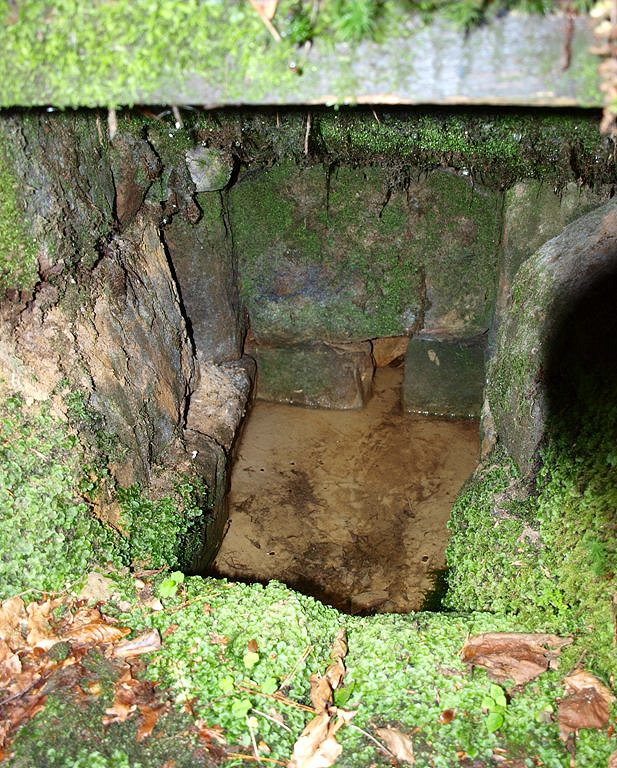 studánka bez jména (5048) - září 2011