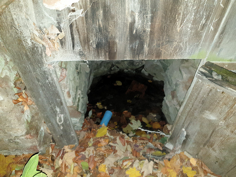 studánka Haltýř (5050) - listopad 2021
