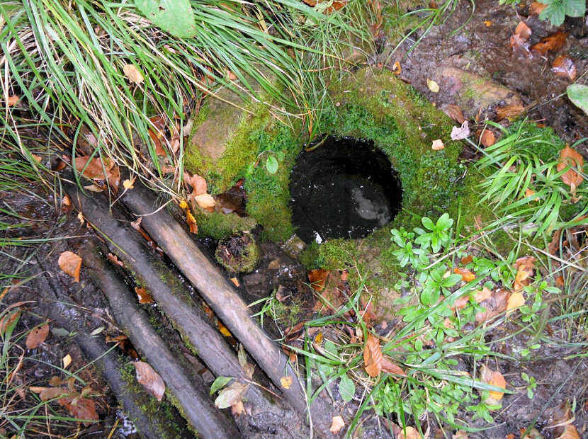 Kladěrubská studánka (5057) - září 2011