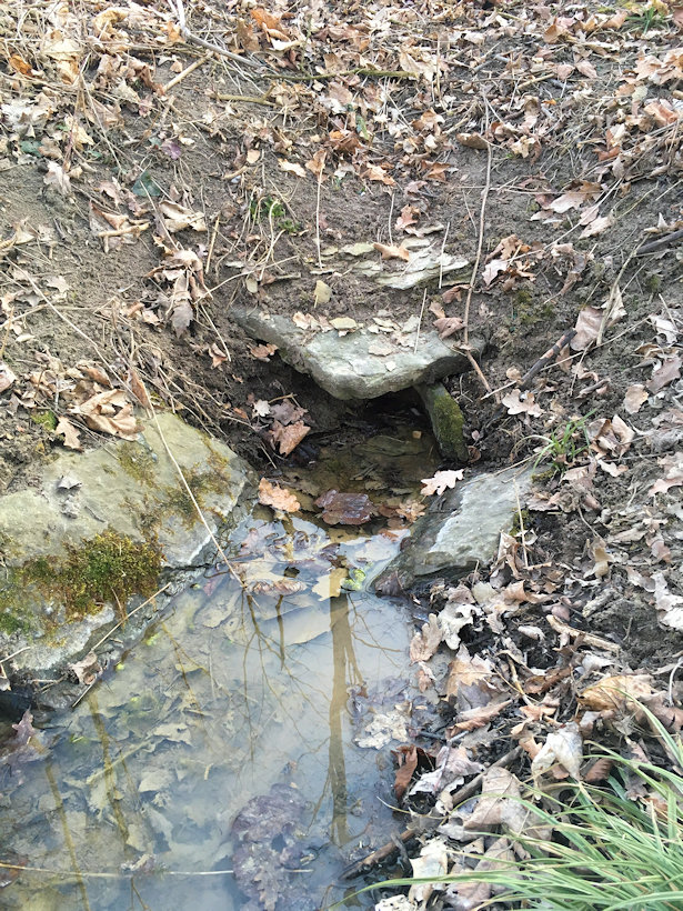 studánka V Podjemu (5105) - datum neznámé