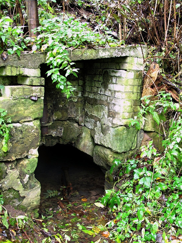 studánka bez jména (5107) - říjen 2011