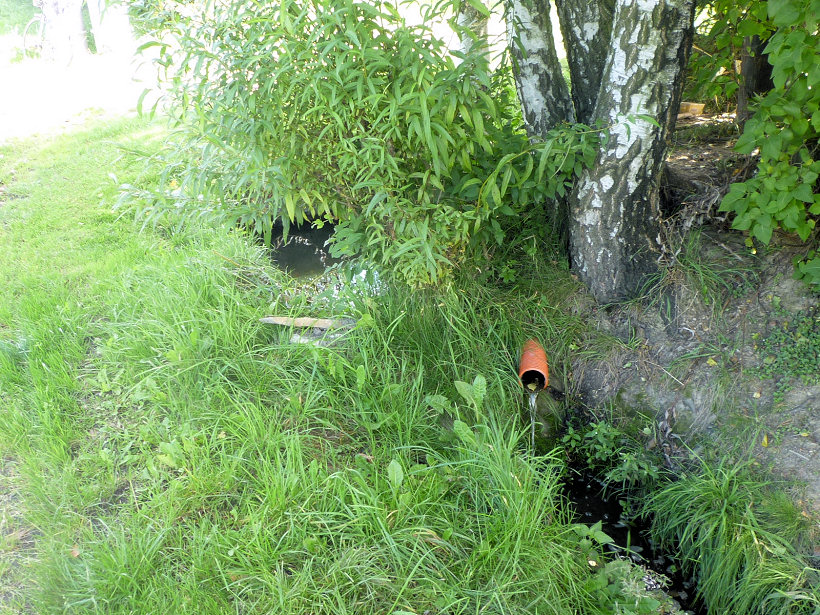studánka Jestřebinská (5117) - říjen 2011