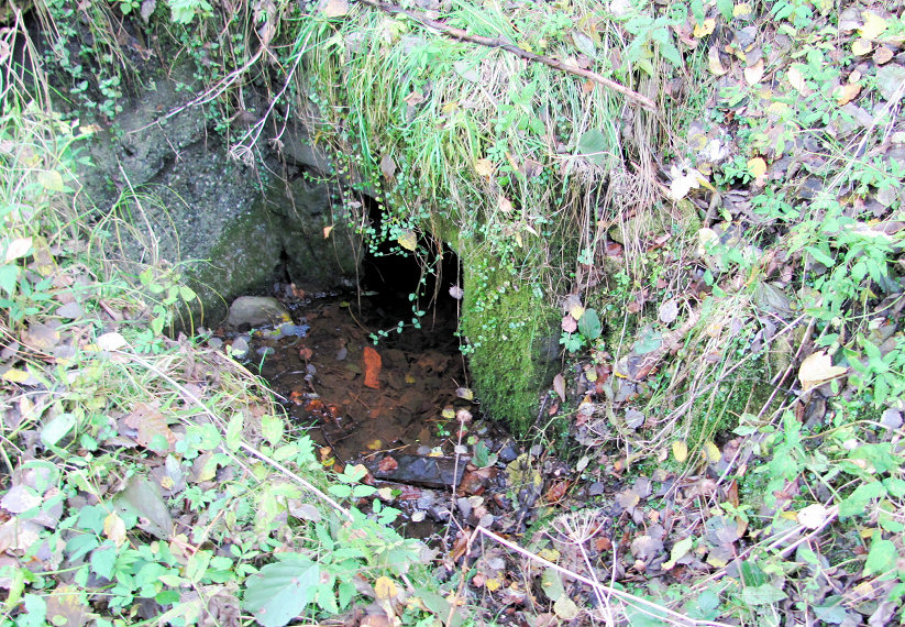 studánka Odbočka Petřvald (5125) - říjen 2011