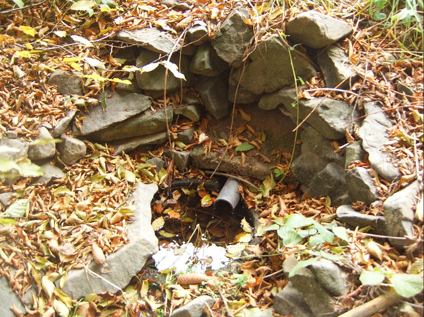 studánka V Sečském žlebu (5131) - říjen 2011