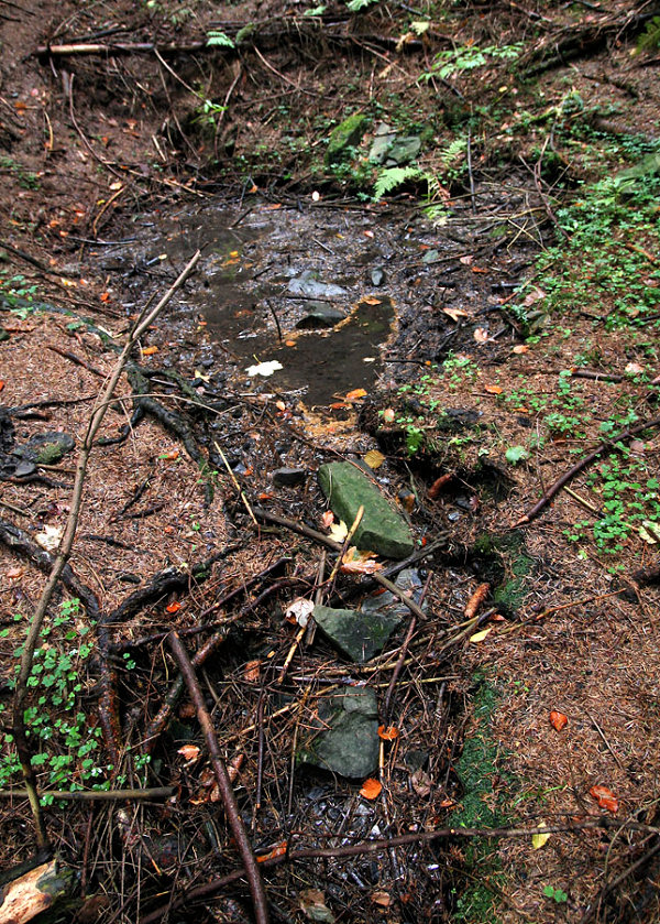 studánka Pramen Za Kršlenicú II  (5139) - listopad 2011