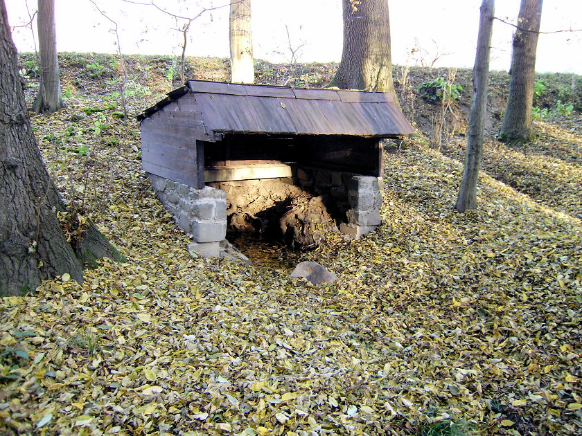 studánka bez jména (5156) - listopad 2011