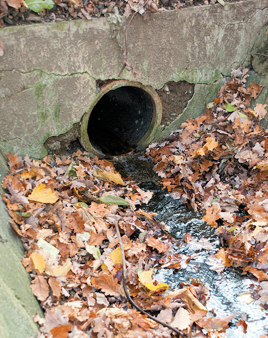 studánka Zálesí (5159) - listopad 2011