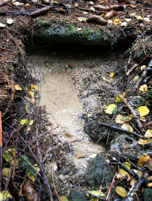 studánka Pod Kameněm (5165) - listopad 2011
