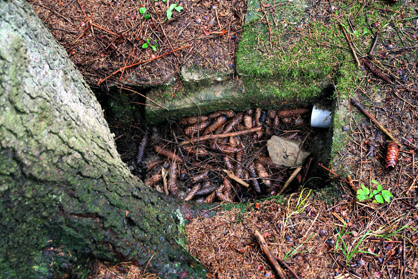 pramen Pod Březinou (5166) - listopad 2011
