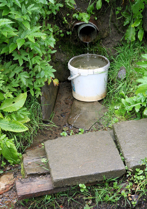 studánka Rubisko (5175) - listopad 2011
