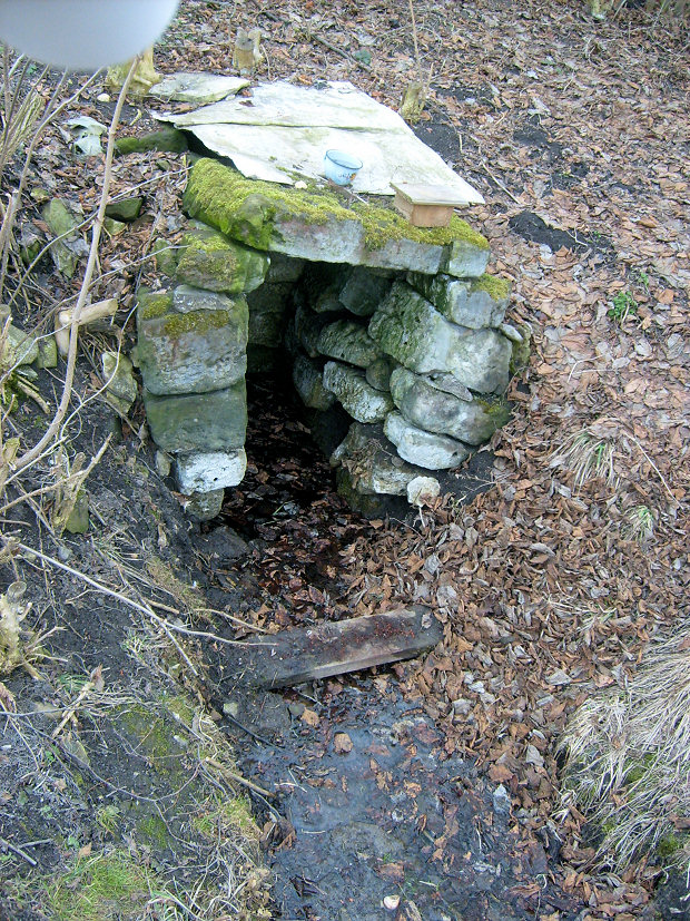 studánka Pod Bučinkou (5205) - prosinec 2011
