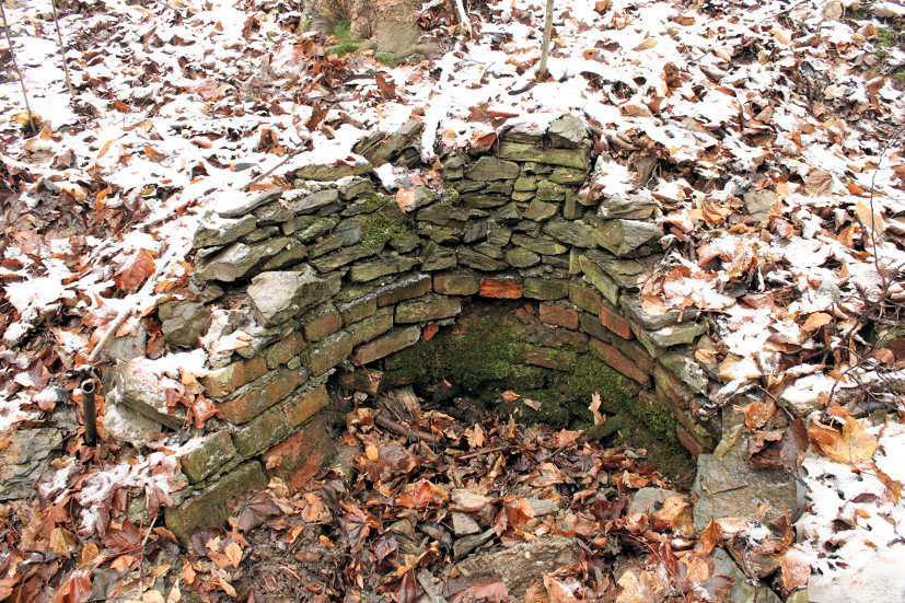 studánka Pod Osikem (5214) - leden 2012
